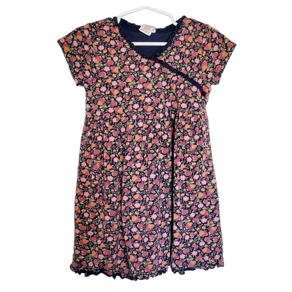 K1131 * Gymboree Girls Floral/Fruit Print Dress Blue Pink Size M 4 Yrs